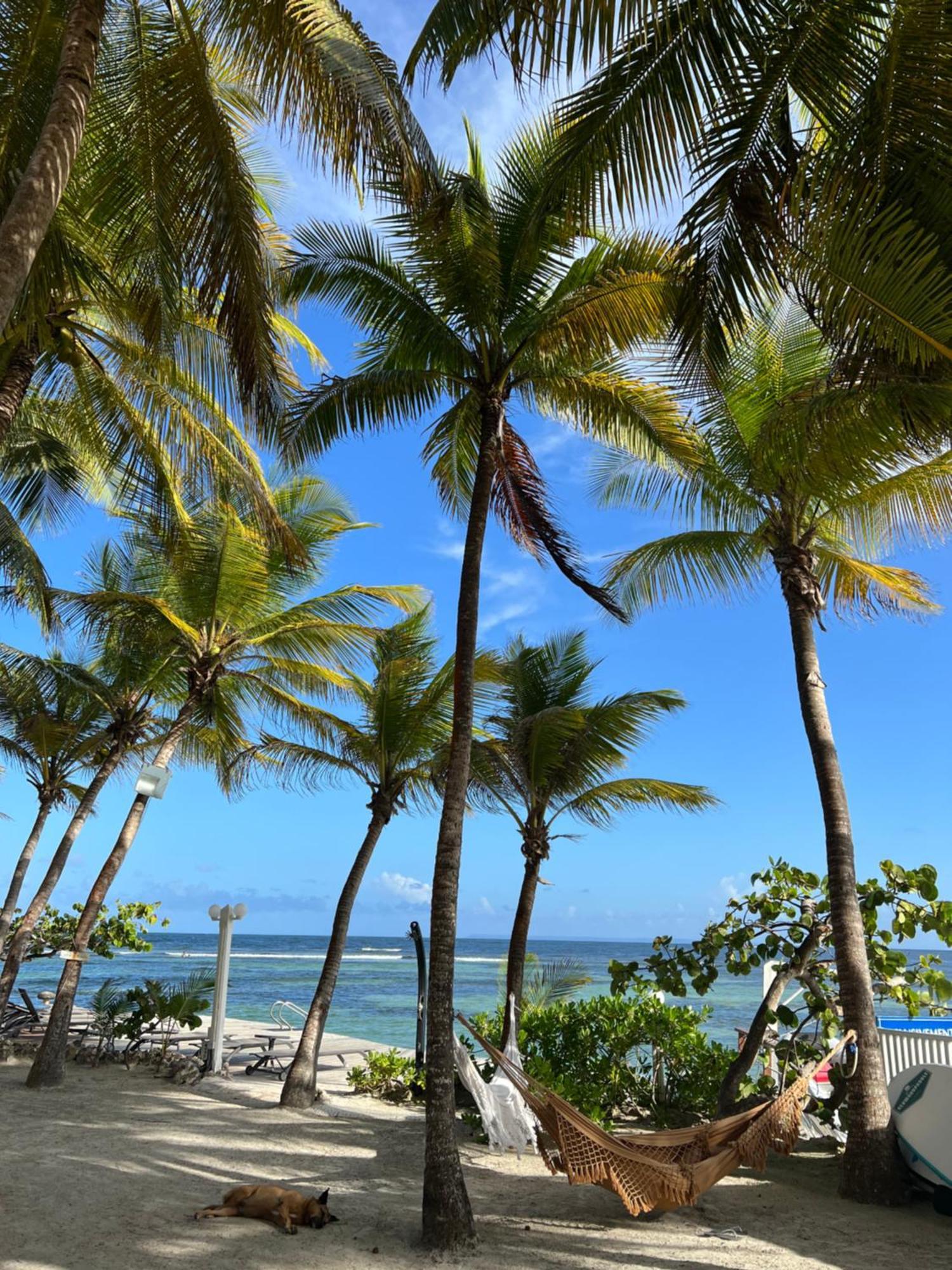 Guadeloupe- Saint-Francois- Residence Anse Des Rochers - Appartement Quart De Villa Etage - Vue Mer- 4 Personnes - Lit Bebe Sur Demande - Citerne Et Wifi Prives -Animaux Ok-Acces Plage Direct -Apnee Bien-Etre Experience Sur Demande Avec Instructeur A 외부 사진