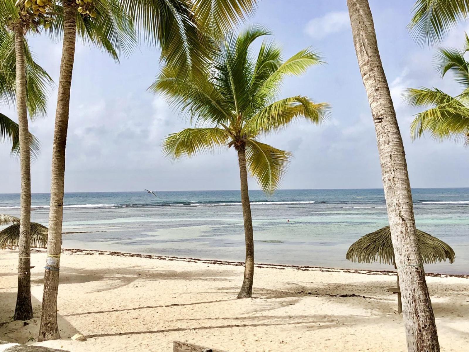Guadeloupe- Saint-Francois- Residence Anse Des Rochers - Appartement Quart De Villa Etage - Vue Mer- 4 Personnes - Lit Bebe Sur Demande - Citerne Et Wifi Prives -Animaux Ok-Acces Plage Direct -Apnee Bien-Etre Experience Sur Demande Avec Instructeur A 외부 사진